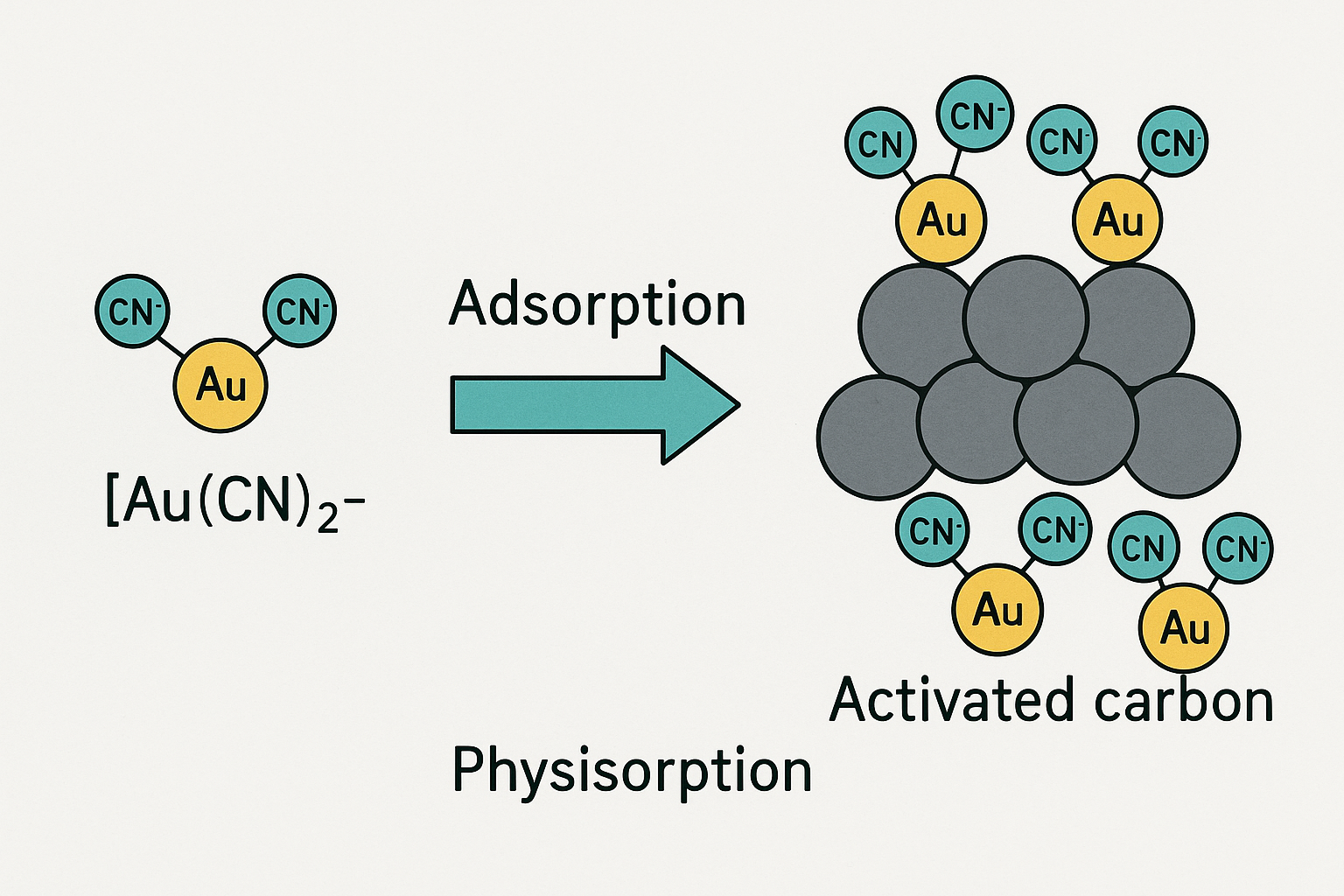 Illustration of the adsorption of gold cyanide complex onto activated carbon surface showing molecular interactions.
